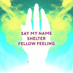 Say My Name Live x Shelter x Fellow Feeling Live *JP Edit*