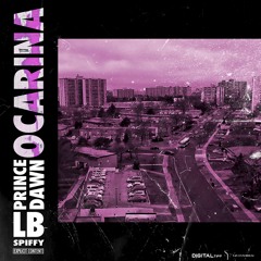 LB feat. PrinceDawn - Ocarina