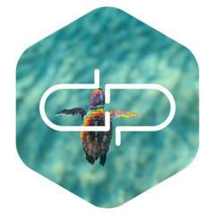 The Flashbulb - Magnolia Requiem