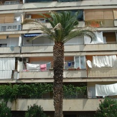 el comportamiento de las palmeras #6