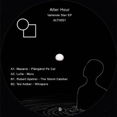 [ALTH001] B1 - Robert Apetrei - The Storm Catcher
