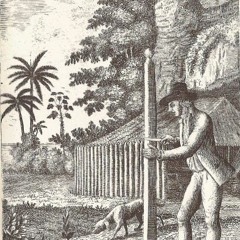 Robinson Crusoe In The Mix Vol.11 November 2018