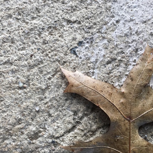 Lofield - Slow Cycles - Album Sampler