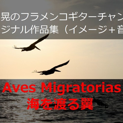 Aves Migratorias