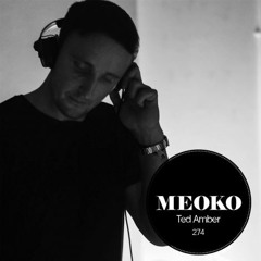 MEOKO Podcast Series | Ted Amber #274