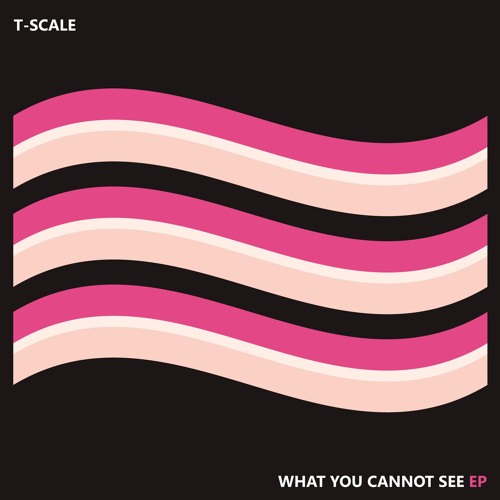 T - Scale - Polar Heat