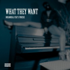 DreamReal feat S Finesse - What They Want
