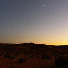 In A Sentimental Mood (Lofi) - Duke Ellington And John Coltrane