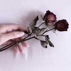 Dewa 19 - Pupus (Cover)