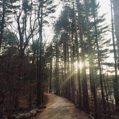 the path is the temple (i....  a walking space)