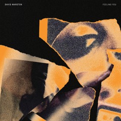 Premiere: David Marston 'Feeling You' (feat. Craig Williamson) (Lowheads Remix)