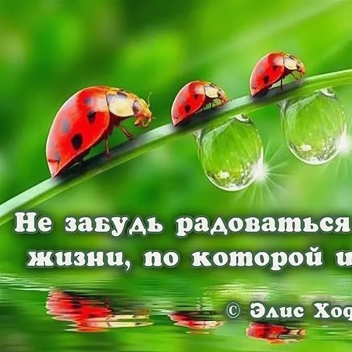 Значит, умей радоваться жизни