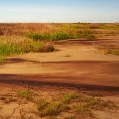 For a few dollars more: costs and ecosystem services after spills-Episode 13