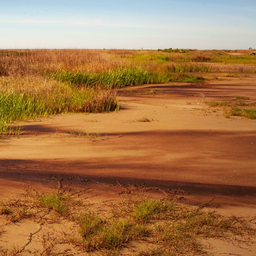 For a few dollars more: costs and ecosystem services after spills-Episode 13