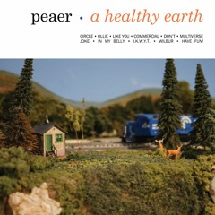 Peaer - Don't