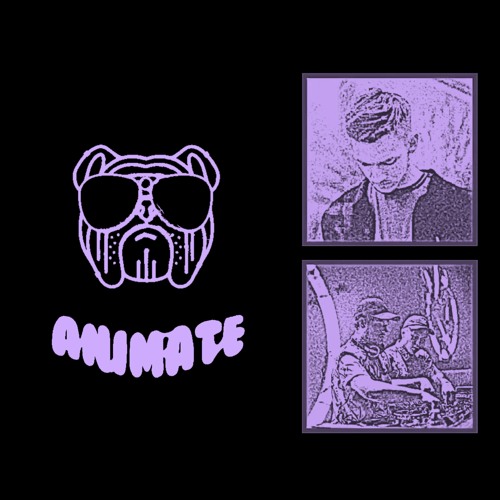 DISTINKT - BRANDS (ANIMATE FLIP)