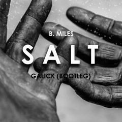 B. Miles - Salt (Galick Bootleg) [Free Download]