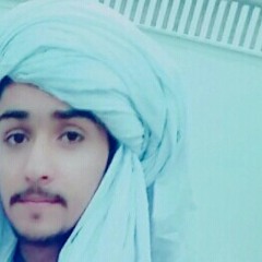 MEER SHAHWANI