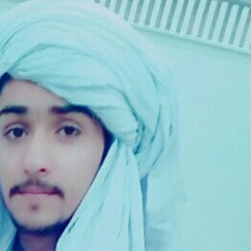 MEER SHAHWANI