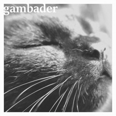Gambader