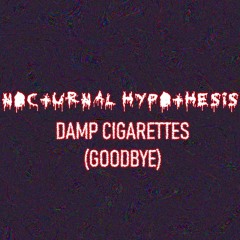 Nocturnal Hypothesis - Damp Cigarettes (Goodbye) (prod. Imotape Productions) (Version 1)