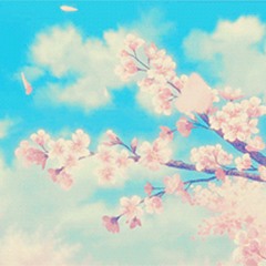 cherry blossoms 🌸 japanese lofi mix