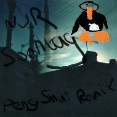 DarkroomDuck & DerGrüne & feat. SssZzz - Nur Sonntag (Peng Shui Remix)