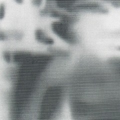 MNMT Premiere: SR60 – The Hill