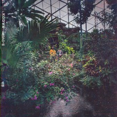 Shle Berry X Nile - Bloom