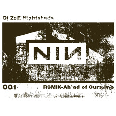Nine Inch Nails |ahead of ourselves| Remix | Bad Witch Album |