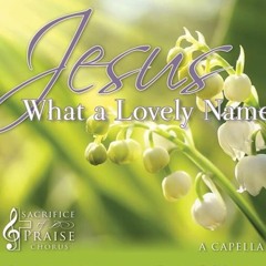 What A Lovely Name: Performed By The Houston Orchestra