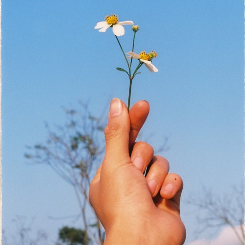 cầu hôn ( anh lấy em không ) - juky san ( cover by San )