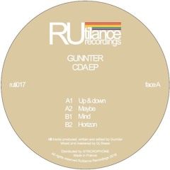 Premiere : Gunnter - Up & Down (RUTI017)