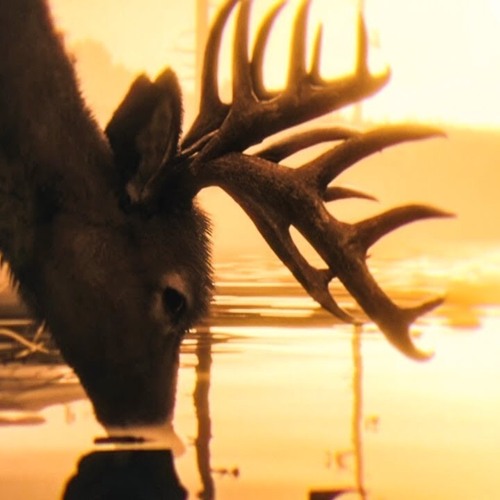 RDR2- May I? ,Unshaken (HIGH HONOR)
