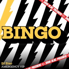 DJ Zinc - Amergency VIP [The 3000 Network Premiere]
