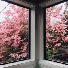 hostage billie eilish (cover)