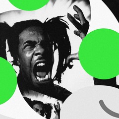 WOO HAH!! [Got You All In Check] (Joy Mix)