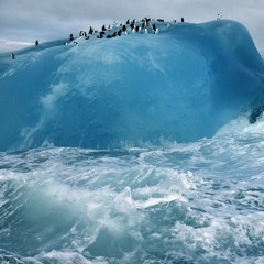 O spících námořnících, tučňácích a tsunami.