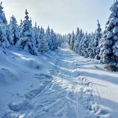 Snowboard Love