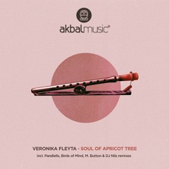 Veronika Fleyta - Soul Of Apricot Tree (Birds Of Mind Remix) [Akbal Music]