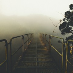 New & hot: Ambient
