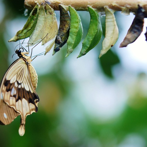 How DevOps Has Changed