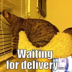 LIAM B - WAITING 4 DELIVERY