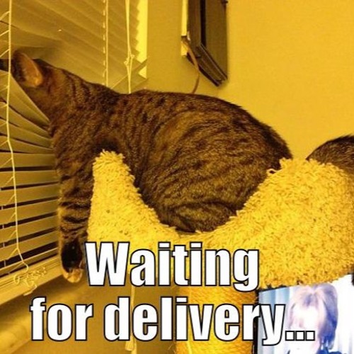 LIAM B - WAITING 4 DELIVERY