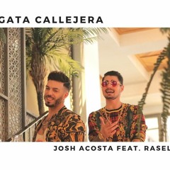 Josh Acosta Ft Rasel - Gata Callejera (Danii Ross & Dj S.Salinas Edit)