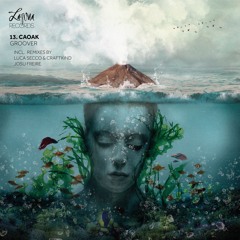 Caoak, Len_o - You Never Know (Luca Secco & Craftkind Remix) OUT NOW!