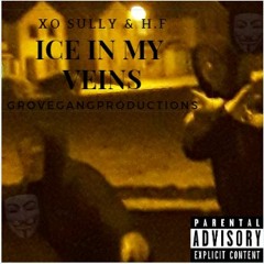 Ice In My Veins ft Xo Sully (Prod.VESPXCCI 2KMOB)
