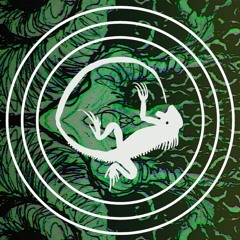 Da Iguana @ Vibronica | Book of Tales