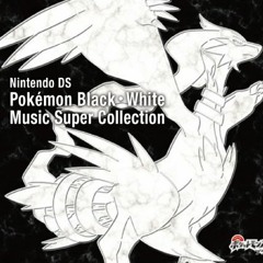 Receive a Mission - Pokémon Black and White