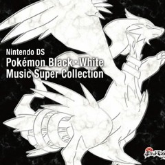 Gate - Pokémon Black and White